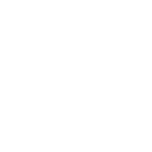 Icône IRM